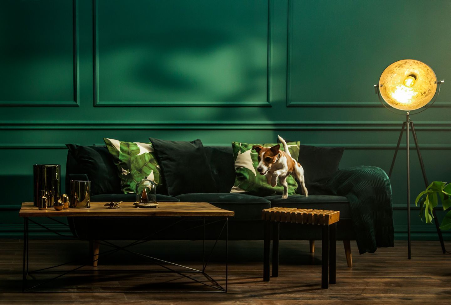 Beckers Designer Collection znajdź nowy kolor dla swojego wnętrza