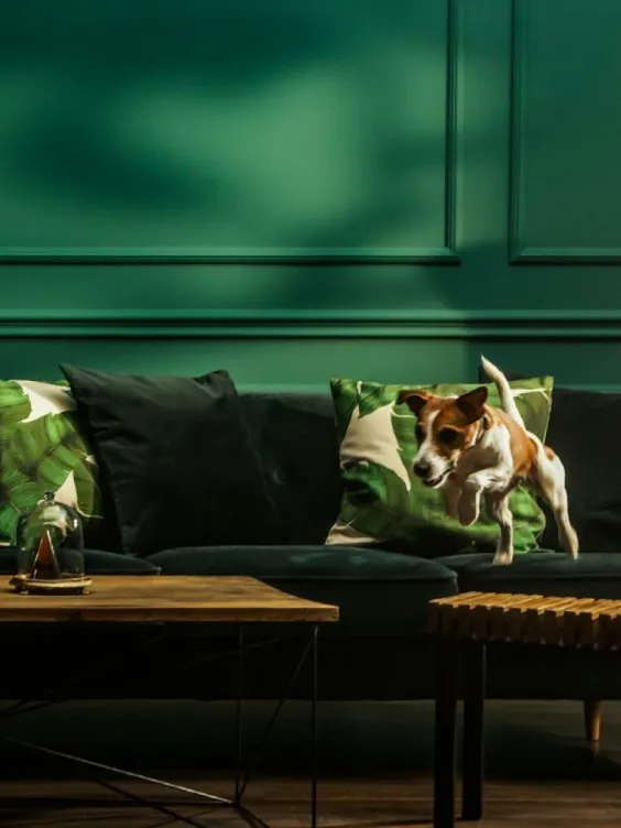 Ściana w salonie pomalowana odcieniem Secret garden z kolekcji Beckers Designer Collection