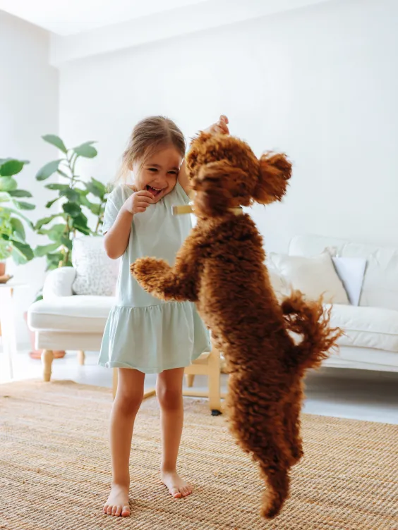 Ściana pomalowana odcieniem Classic White z linii Beckers It's Simple