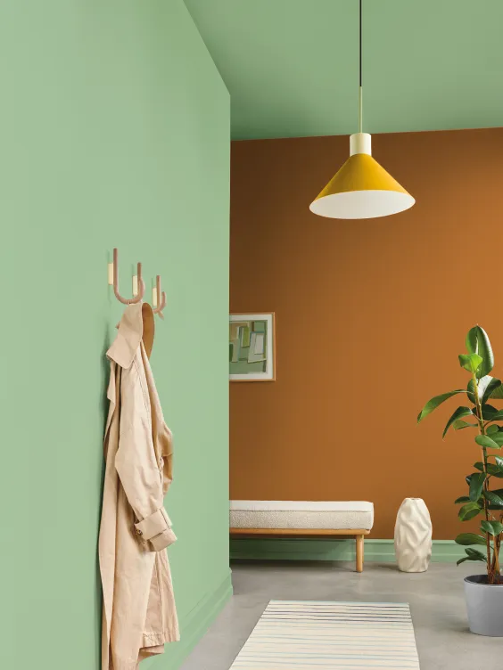 Ściana pomalowana kolorem Burnt Orange