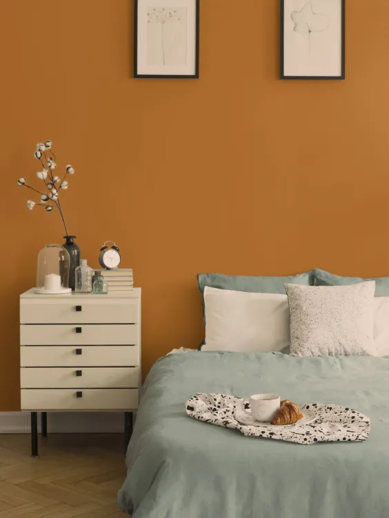 Ściana pomalowana odcieniem Burnt Orange