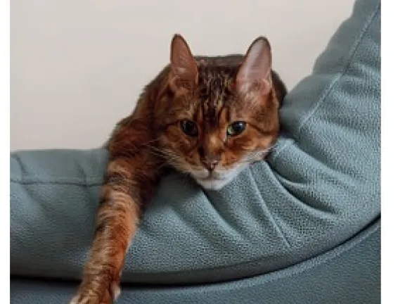 Trendy Beckers 2026. Quiet Contrast