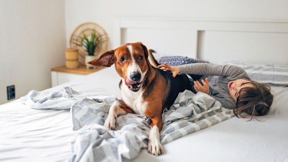 Pokój pomalowany kolorem Shade