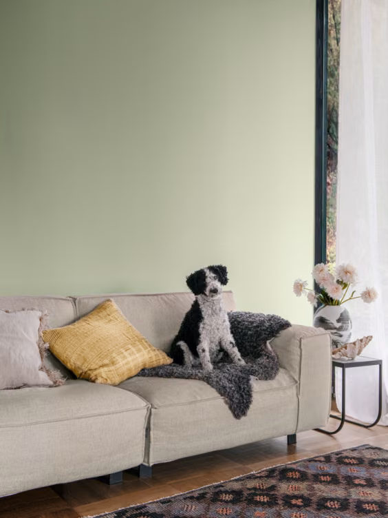 Ściana w salonie pomalowana odcieniem Pear z kolekcji Beckers Designer Colour