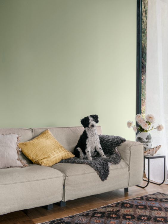 Ściana w salonie pomalowana odcieniem Pear z kolekcji Beckers Designer Colour