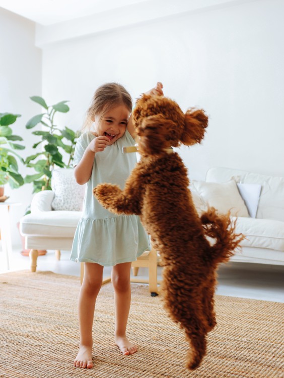 Ściana pomalowana odcieniem Classic White z linii Beckers It's Simple