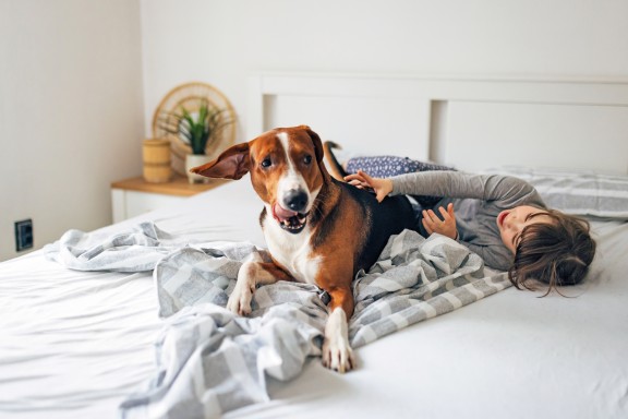 Ściana pomalowana kolorem Shade z linii Beckers Designer Collection