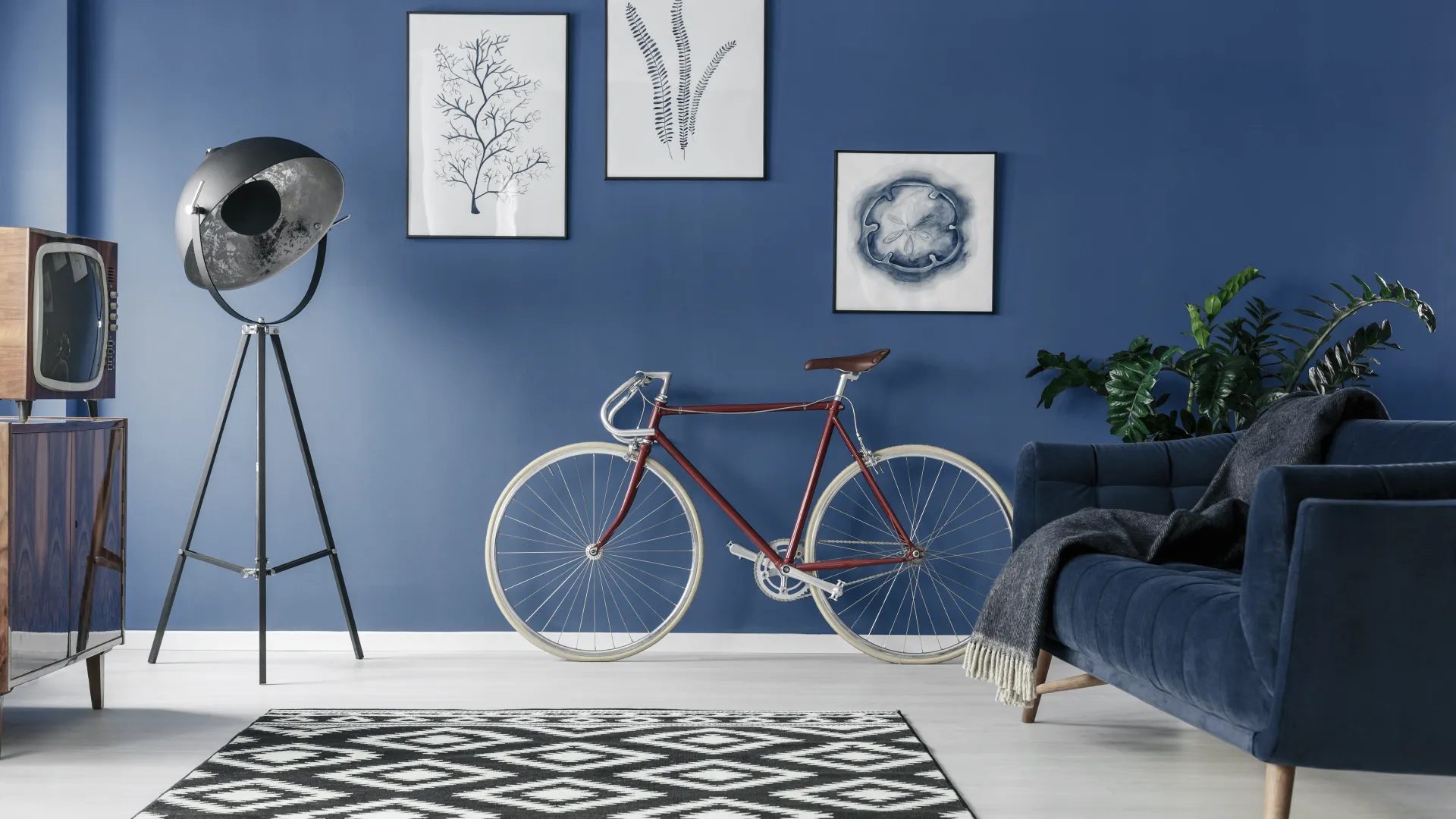 intensywny kolor na ścianie