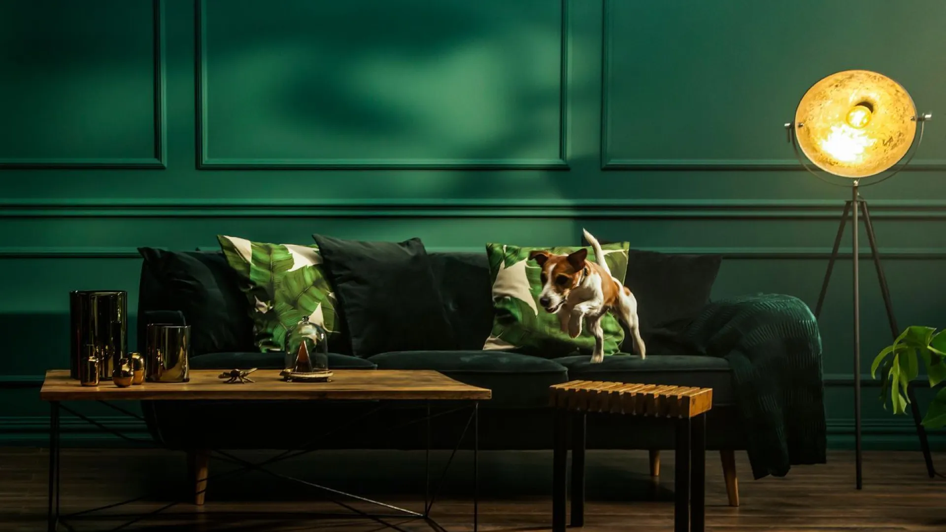 Głęboka zieleń na ścianie salonu