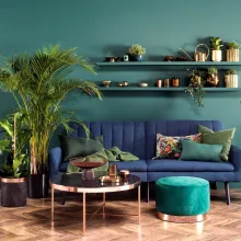 urban jungle w domu