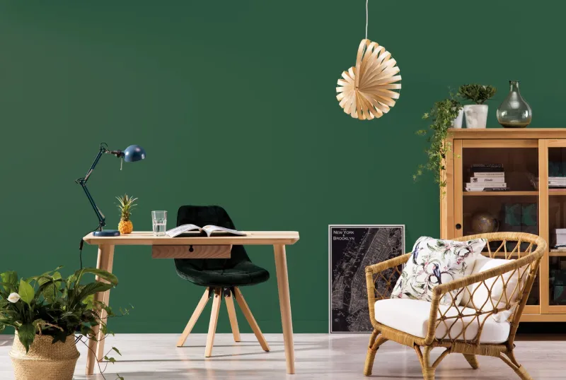 Beckers Designer Collection